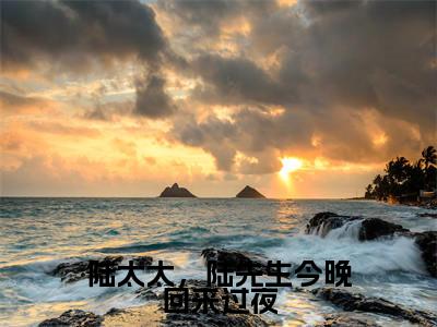 陆太太，陆先生今晚回来过夜（顾南烟陆北城）全文免费阅读无弹窗大结局_(顾南烟陆北城)陆太太，陆先生今晚回来过夜最新章节列表_笔趣阁