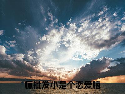 疯批发小是个恋爱脑小说(陈挽侬许南席)全文免费阅读无弹窗大结局_疯批发小是个恋爱脑最新章节在线阅读_笔趣阁