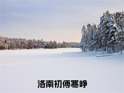 洛南初傅寒峥全文免费完整版-小说洛南初傅寒峥(傅寒峥洛南初)已完结全集大结局
