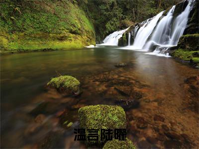 温言陆曜陆曜温言(陆曜温言小说)全文免费阅读无弹窗大结局_(陆曜温言小说免费阅读全文大结局)最新章节列表_笔趣阁（温言陆曜小说）