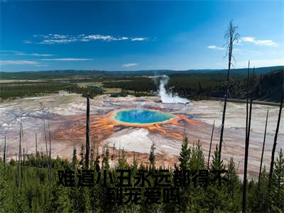 难道小丑永远都得不到宠爱吗小说(宋佳瑜厉洛辰)全文免费阅读无弹窗_难道小丑永远都得不到宠爱吗高赞小说免费阅读笔趣阁(宋佳瑜厉洛辰)