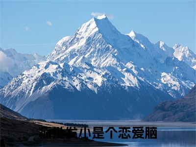 疯批发小是个恋爱脑（陈挽侬许南席）小说免费阅读完结版-疯批发小是个恋爱脑小说全文免费阅读