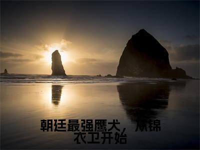 朝廷最强鹰犬,从锦衣卫开始(林枭)全本完整版免费阅读_ (朝廷最强鹰犬,从锦衣卫开始)林枭全文章节目录_笔趣阁(林枭)