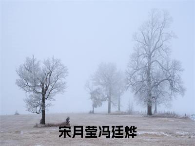冯廷烨宋月莹（宋月莹冯廷烨）全文免费阅读无弹窗大结局_冯廷烨宋月莹最新章节列表_笔趣阁（宋月莹冯廷烨）