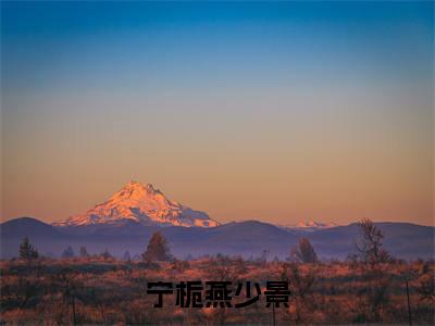 燕少景宁栀为宁栀燕少景的小说叫什么-最新小说宁栀燕少景全文阅读