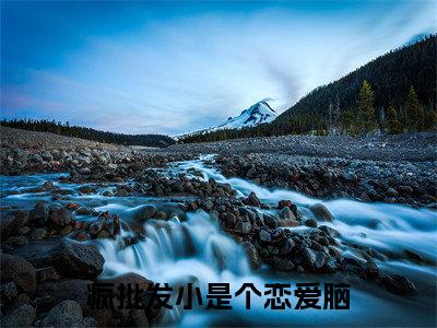 疯批发小是个恋爱脑（陈挽侬许南席）全文免费阅读-小说疯批发小是个恋爱脑大结