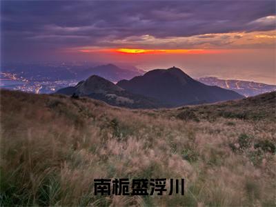 南栀盛浮川最新章节(盛浮川南栀)全文免费阅读无弹窗大结局_盛浮川南栀免费阅读(南栀盛浮川)