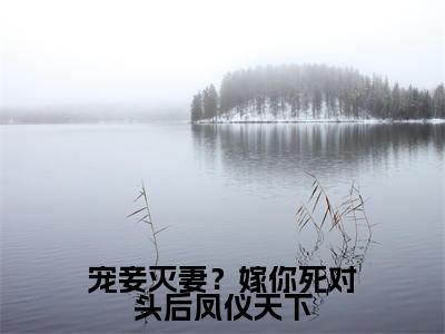 宠妾灭妻？嫁你死对头后凤仪天下（姜云笙萧翊风）完整版全文在线赏析-宠妾灭妻？嫁你死对头后凤仪天下精彩美文摘抄
