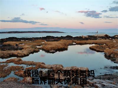 惊爆!四个萌娃带妈咪炸翻大佬集团(林初瓷战夜擎)全文免费阅读大结局_(惊爆!四个萌娃带妈咪炸翻大佬集团)林初瓷战夜擎免费在线阅读无删减_笔趣阁