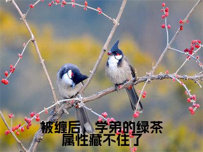 被缠后,学弟的绿茶属性藏不住了(柯怡季易)小说在线阅读_被缠后,学弟的绿茶属性藏不住了全本免费小说阅读(柯怡季易)