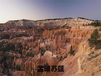 孟曦苏筵苏筵孟曦正版小说全文阅读 苏筵孟曦全文免费完整版