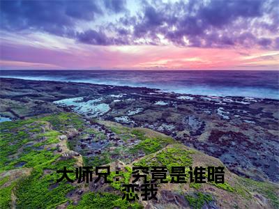 大师兄：究竟是谁暗恋我全文免费阅读大结局-（朝雾帝昭）最新章节列表在线阅读