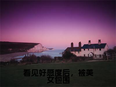 看见好感度后,被美女包围江浔全文免费阅读无弹窗大结局_(江浔)最新章节列表_笔趣阁(看见好感度后,被美女包围小说)