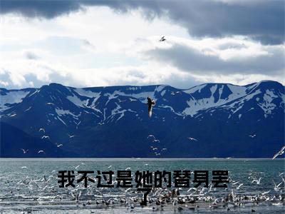 我不过是她的替身罢了(顾安然陆锦时)全文免费阅读无弹窗大结局_我不过是她的替身罢了全文免费阅读最新章节列表_笔趣阁