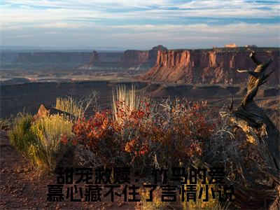  姜岁初陆祉年长篇免费小说，甜宠救赎：竹马的爱慕心藏不住了最新章节在线阅读