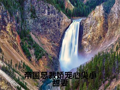 帝国总裁娇宠心尖小甜妻(傅煜珩沈栀凝)全文免费阅读无弹窗_(帝国总裁娇宠心尖小甜妻小说免费阅读)最新章节列表笔趣阁