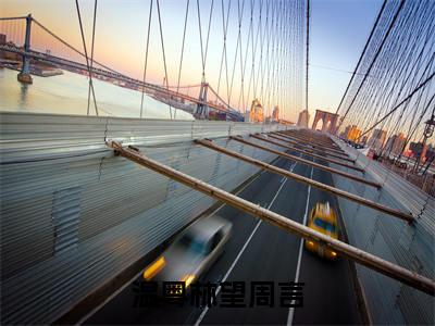 望周言温粤林全文免费阅读-温粤林望周言最新章节小说免费阅读