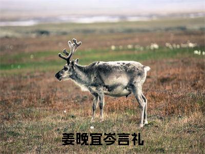 姜晚宜岑言礼(岑言礼姜晚宜)全文免费阅读无弹窗_(岑言礼姜晚宜)姜晚宜岑言礼小说最新章节列表笔趣阁(岑言礼姜晚宜)