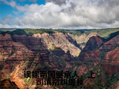 误嫁帝国继承人,上司请别纠缠我免费阅读-(误嫁帝国继承人,上司请别纠缠我)全文免费阅读无弹窗大结局(南玥宫北宸)最新章节列表_笔趣阁