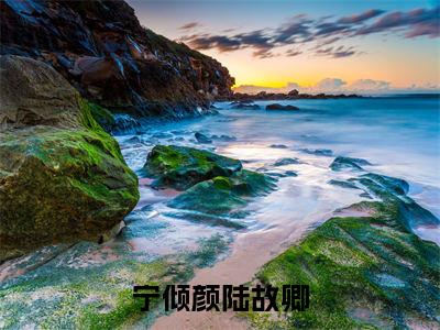 宁倾颜陆故卿全文免费阅读_宁倾颜陆故卿(陆故卿宁倾颜免费阅读无弹窗)陆故卿宁倾颜最新章节列表笔趣阁