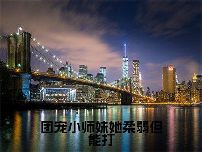 苏菀楼弃（苏菀楼弃）是什么小说-（团宠小师妹她柔弱但能打）无弹窗免费阅读大结局最新章节列表_笔趣阁