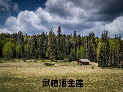 热门小说 武植潘金莲穿成武大郎，我抬手就掀了金莲送的药！全文免费阅读无弹窗大结局- 武植潘金莲全文无弹窗免费阅读大结局