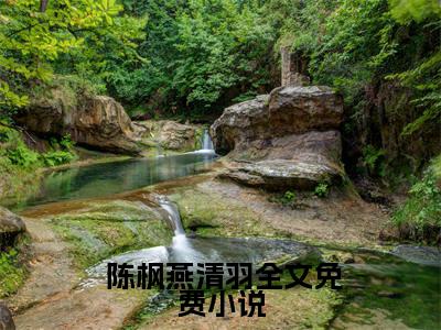 武魂：开局一滴至尊龙血高甜小说最新章节- 陈枫燕清羽全文阅读