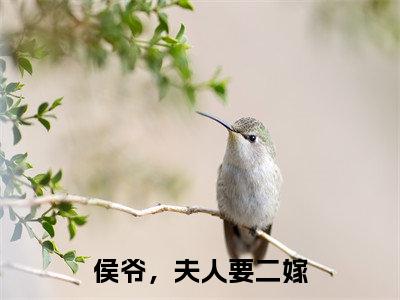 柳月寒商鹤余在哪免费看 柳月寒商鹤余结局是什么(侯爷,夫人要二嫁)小说无弹窗免费阅读