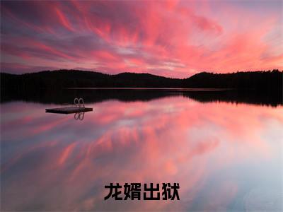龙婿出狱在线阅读（叶枭）全文免费阅读无弹窗大结局_叶枭免费最新章节列表_笔趣阁