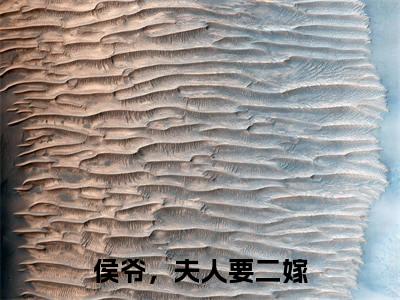 侯爷,夫人要二嫁(柳月寒商鹤余)全文免费阅读无弹窗-柳月寒商鹤余小说完整版在线阅读