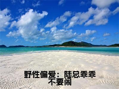 莳阮陆延生全文免费阅读无弹窗大结局_野性偏爱:陆总乖乖不要闹章节列表_笔趣阁