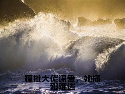 疯批大佬谋爱，她插翅难逃（时玉蓝雪）小说最新章节-小说疯批大佬谋爱，她插翅难逃（时玉蓝雪）完整版全文在线赏析