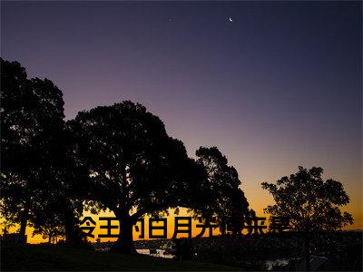 赫连祁白鹭（赫连祁白鹭）全文免费阅读无弹窗大结局_冷王的白月光原来是我最新章节列表_