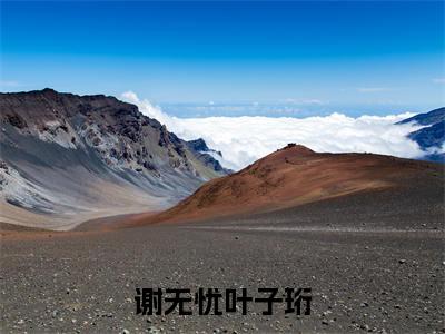 主角是叶子珩谢无忧的小说-谢无忧叶子珩全文无弹窗免费阅读