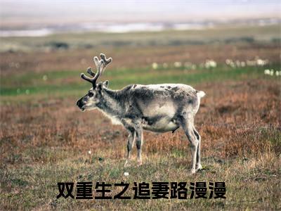 双重生之追妻路漫漫精彩章节在线阅读_萧炎林姝免费观看(双重生之追妻路漫漫)完结版_笔趣阁(萧炎林姝)