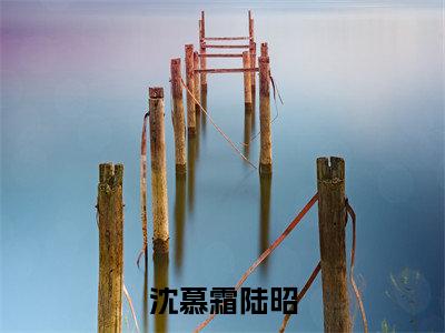 陆昭沈慕霜（沈慕霜陆昭）最火言情小说免费观看-小说沈慕霜陆昭（陆昭沈慕霜）今日已更新最新章节