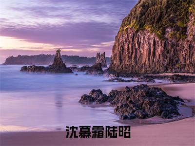 沈慕霜陆昭(陆昭沈慕霜)精选好书-陆昭沈慕霜无删减版在线阅读(陆昭沈慕霜全文免费阅读)