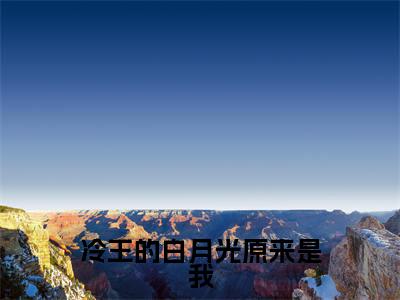 冷王的白月光原来是我小说(赫连祁白鹭)全文免费阅读_(赫连祁白鹭)冷王的白月光原来是我小说最新章节列表_笔趣阁(赫连祁白鹭)