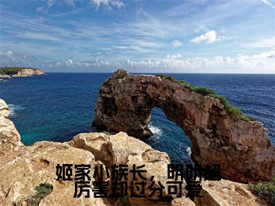 姬家小族长,明明超厉害却过分可爱抖音热推小说全集无删减姬凡林沛珊最新章节列表免费阅读_(姬家小族长,明明超厉害却过分可爱)最新章节列表笔趣阁