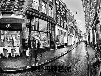(姜舒冉林越深)林越深姜舒冉小说全文免费阅读无弹窗大结局_林越深姜舒冉(姜舒冉林越深)最新章节列表笔趣阁