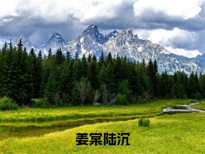 姜棠陆沉(陆沉姜棠)精选好书-陆沉姜棠无删减小说在线阅读(姜棠陆沉全文免费阅读)