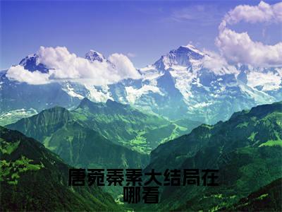穿越七零，俏军嫂闷声发大财小说全文免费阅读无弹窗大结局- 唐菀秦素 小说在哪里可以看