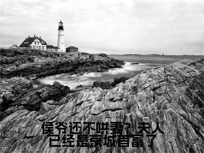 侯爷还不哄妻?夫人已经是京城首富了(牧舒远陆沧洲)免费小说-侯爷还不哄妻?夫人已经是京城首富了小说完整版阅读