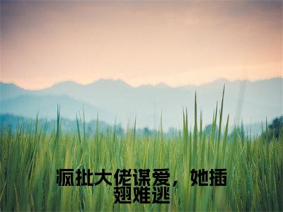 疯批大佬谋爱,她插翅难逃小说(时玉蓝雪)全文免费阅读结局-疯批大佬谋爱,她插翅难逃强推全文阅读无弹窗