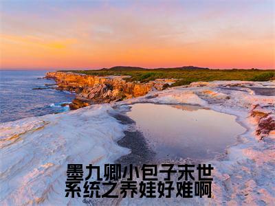 末世系统之养娃好难啊（ 墨九卿小包子）新上热文小说讲的是什么-小说末世系统之养娃好难啊（ 墨九卿小包子）全文免费阅读