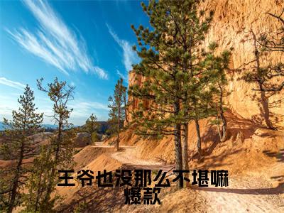  云染南宫墨（王爷也没那么不堪嘛）的小说完整版免费阅读 主角是（ 云染南宫墨）王爷也没那么不堪嘛无弹窗免费阅读