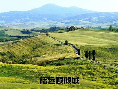 陆远顾倾城小说(顾倾城陆远)全文免费阅读无弹窗大结局_陆远顾倾城完整版最新阅读_笔趣阁(顾倾城陆远)