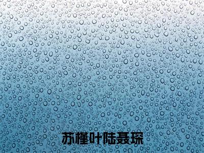 陆聂琛苏槿叶的小说(苏槿叶陆聂琛)免费阅读_陆聂琛苏槿叶小说免费阅读-笔趣阁(苏槿叶陆聂琛)