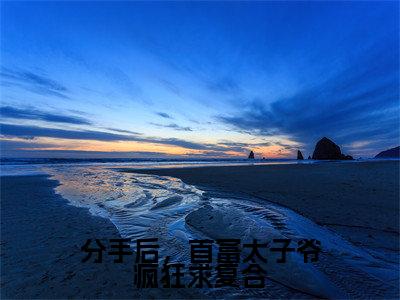 分手后,首富太子爷疯狂求复合小说(陆风晴霍怀安全文完整版免费阅读)_分手后,首富太子爷疯狂求复合小说免费最新章节列表_笔趣阁