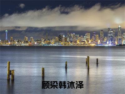 顾染韩沐泽全文免费阅读无弹窗大结局-韩沐泽顾染全文在线阅读最新章节列表_笔趣阁